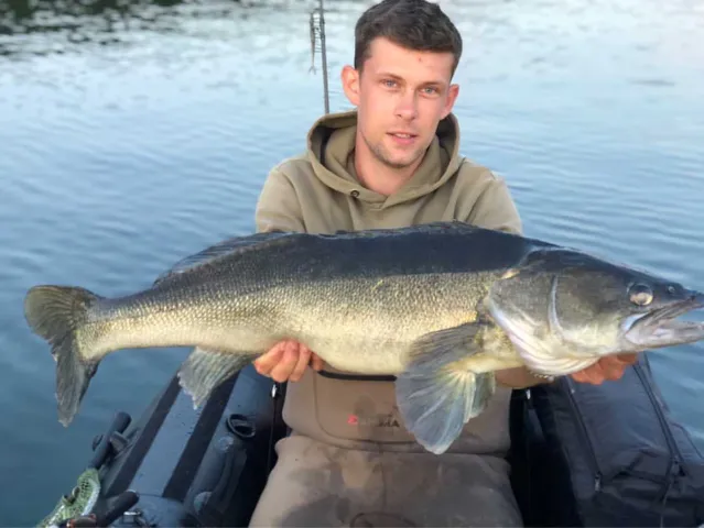Zander