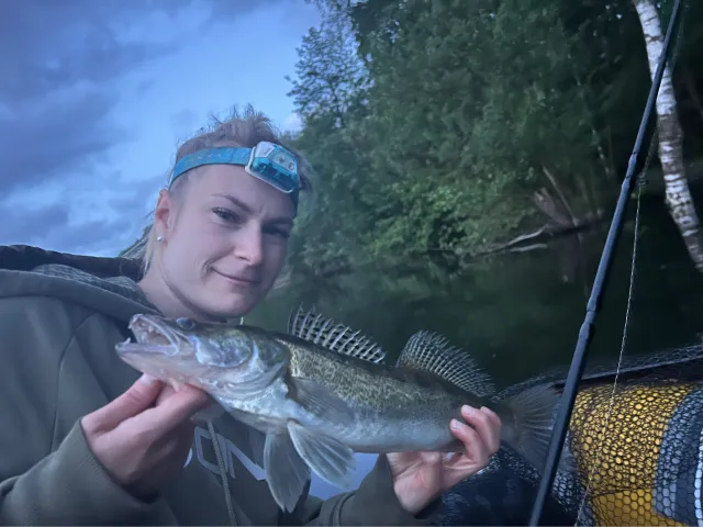 Zander
