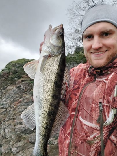 Zander