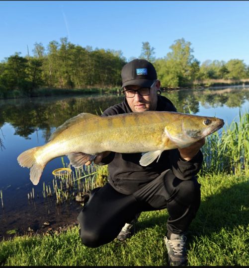 Zander