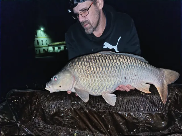 Karpfen