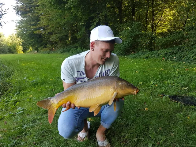 Karpfen