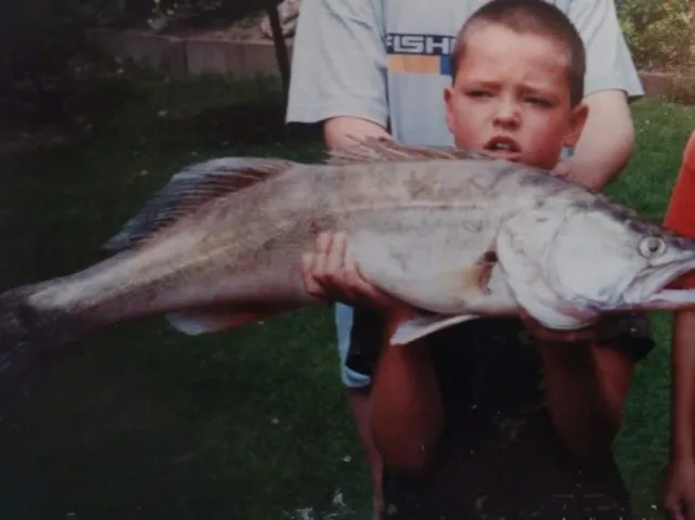 Zander