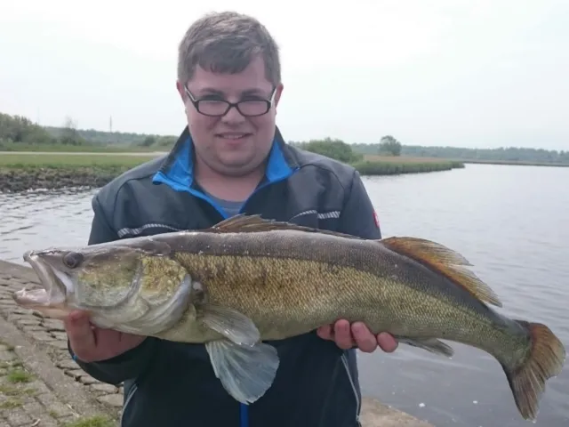 Zander