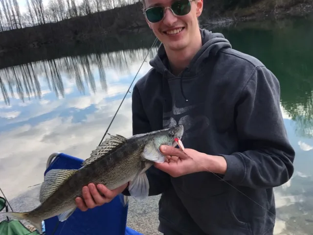 Zander