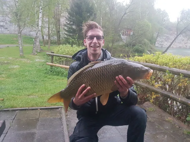 Karpfen