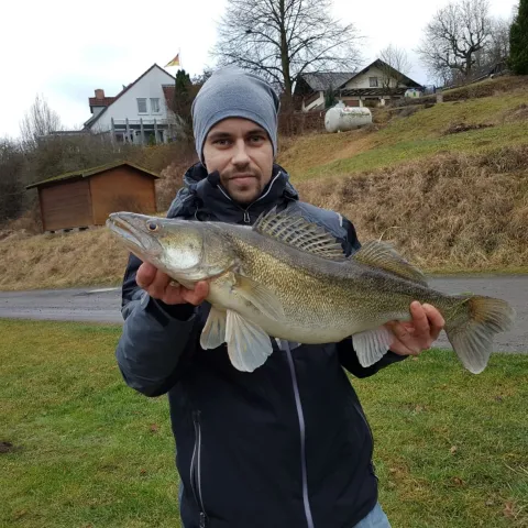 Zander