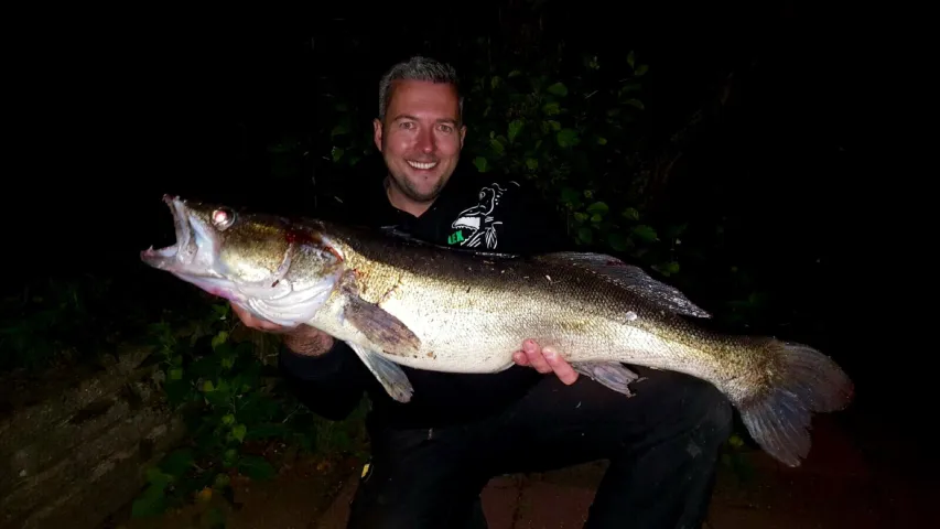 Zander