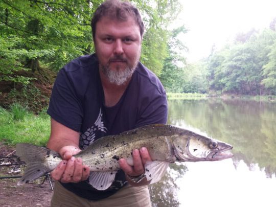 Zander
