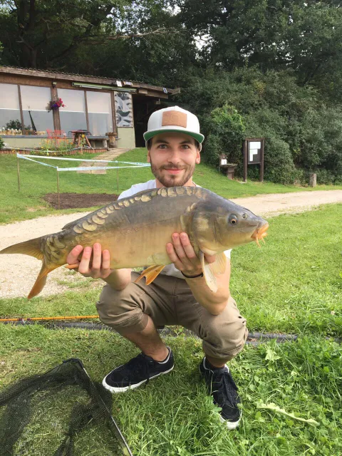 Karpfen