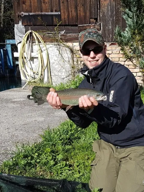 Regenbogenforelle