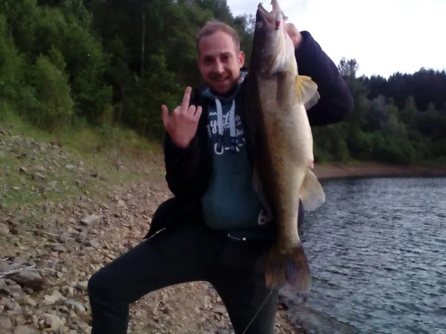 Zander