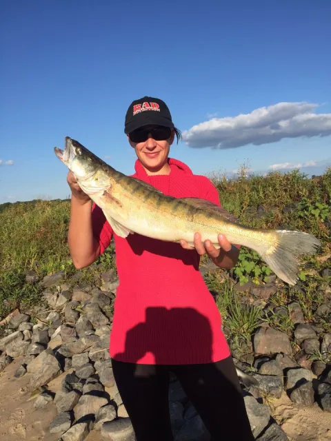 Zander