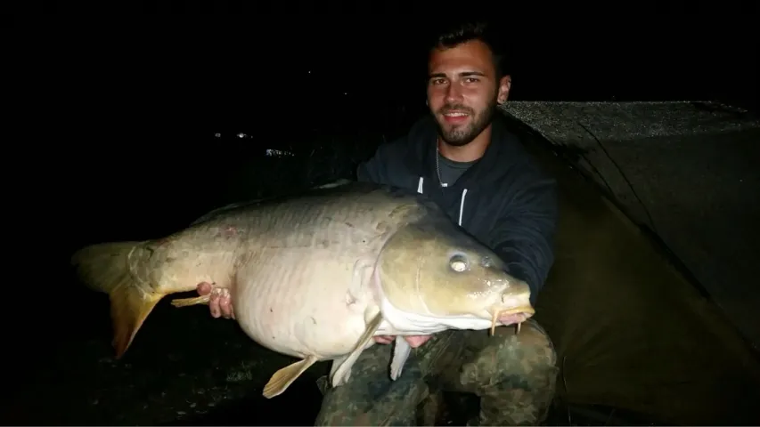 Karpfen