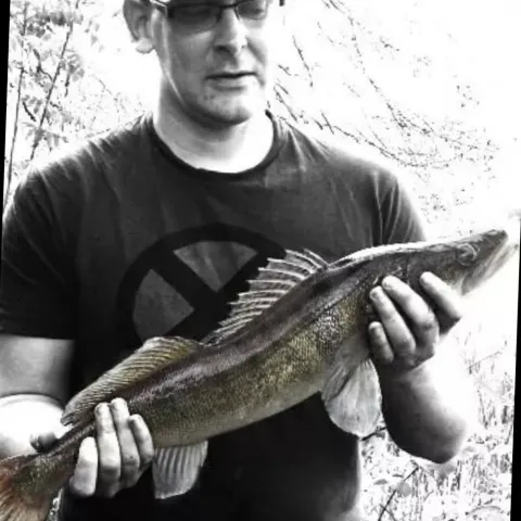 Zander