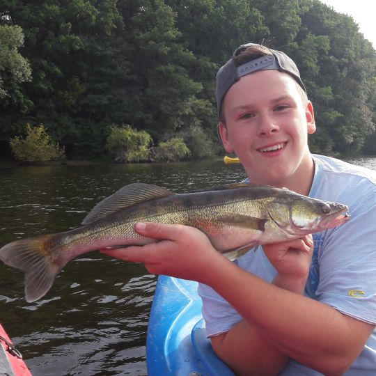 Zander