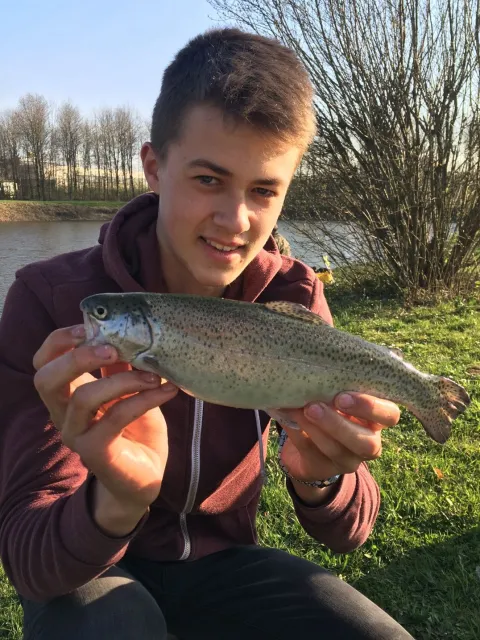 Regenbogenforelle