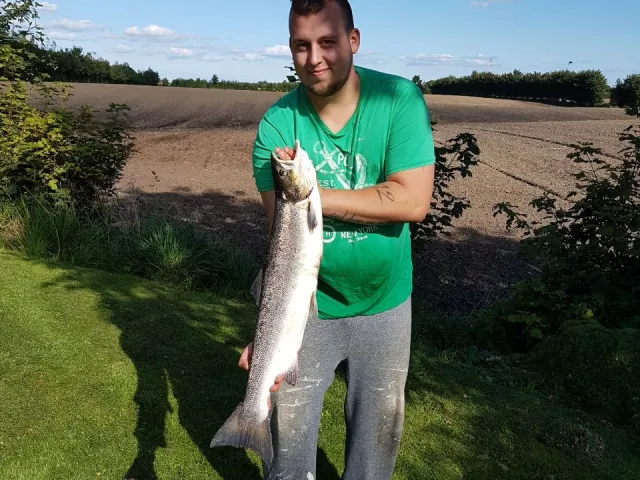Lachs