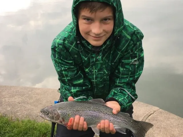 Regenbogenforelle