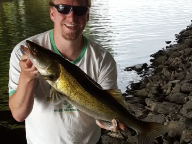 Zander