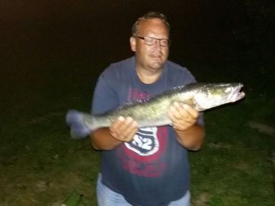 Zander