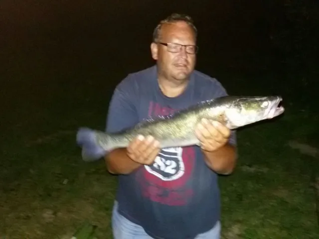 Zander