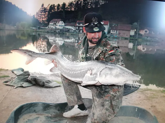 Stör