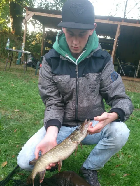 Hecht