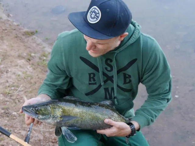 Zander