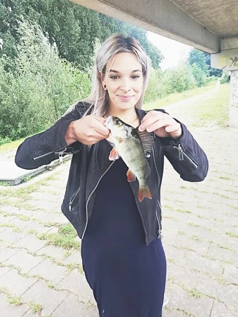 Flussbarsch