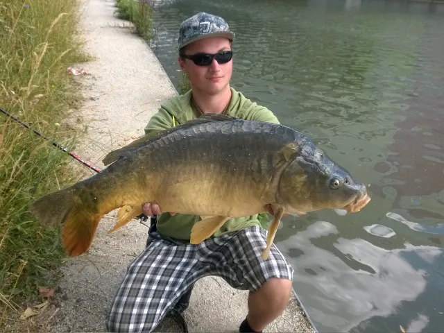 Karpfen
