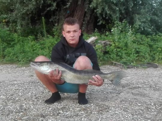 Zander
