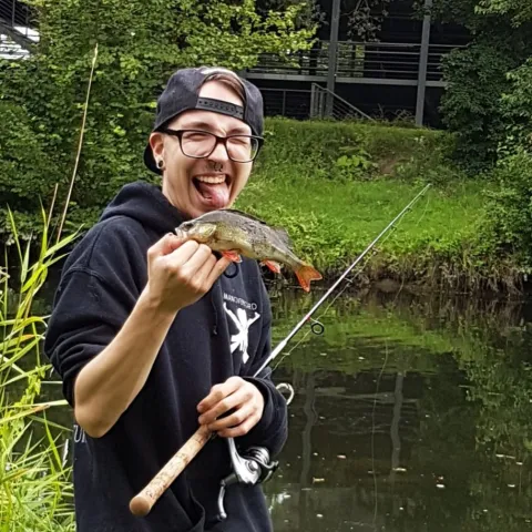 Flussbarsch