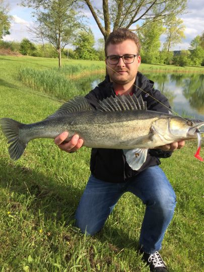 Zander