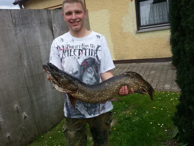 Hecht