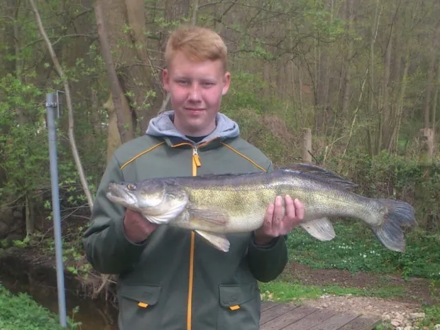 Zander