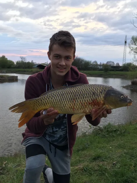 Karpfen