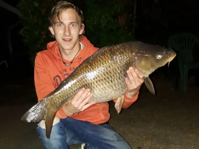 Karpfen