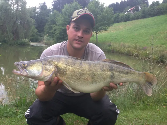 Zander