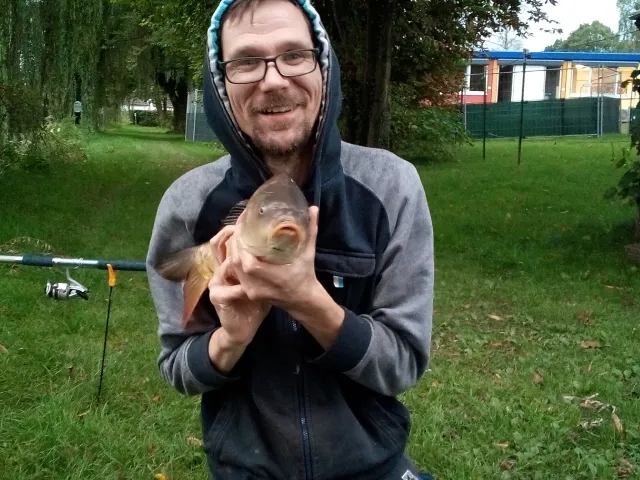 Karpfen