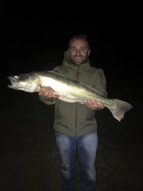 Zander