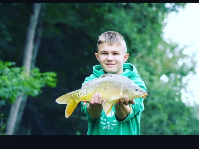 Karpfen