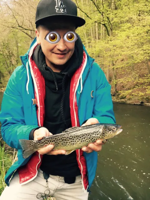 Bachforelle