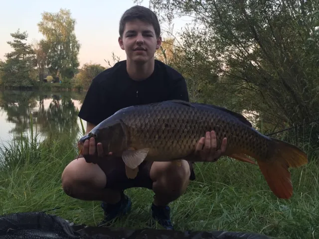 Karpfen