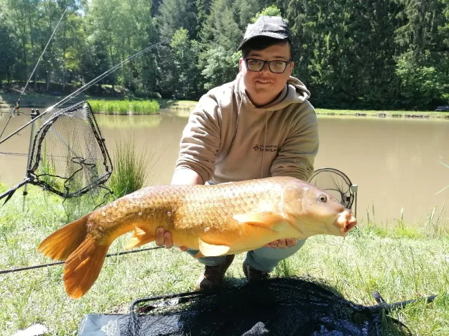 Karpfen