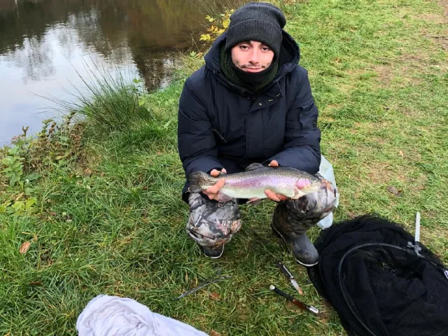 Regenbogenforelle