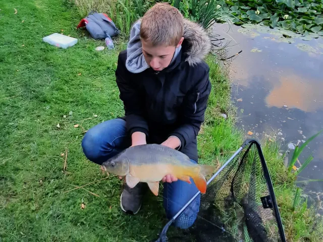 Karpfen