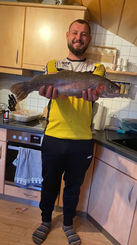 Regenbogenforelle