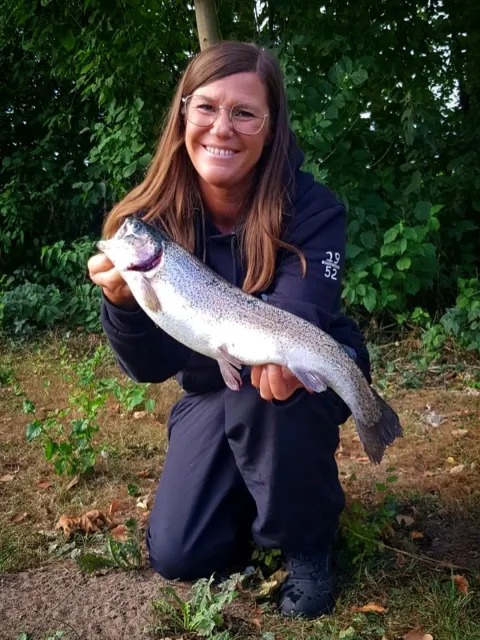 Regenbogenforelle