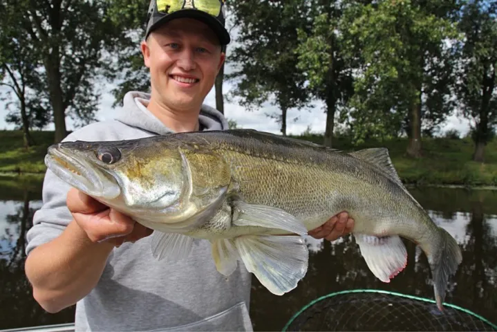 Zander